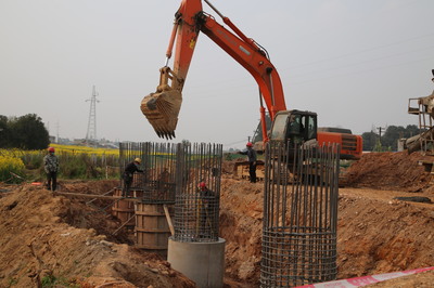 東坡區(qū)成立保障專組，為項(xiàng)目建設(shè)“滿血復(fù)活”注入強(qiáng)勁動(dòng)力